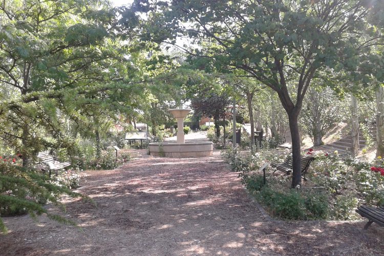 Yincana familiar en el Arborétum municipal