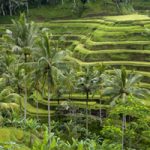 Taller sobre ecofeminismo y sostenibilidad