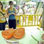 La fiesta del tomate: cata y concurso