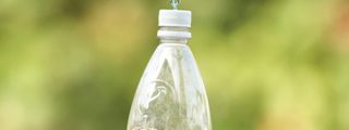 Taller familiar: crear comederos para aves
