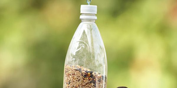 Taller y paseo para crear comederos de aves