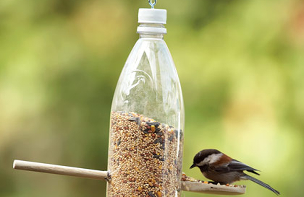Comederos para aves y colocarlos en árboles