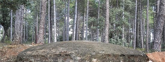 'Entre fortines y trincheras': guerra y patrimonio