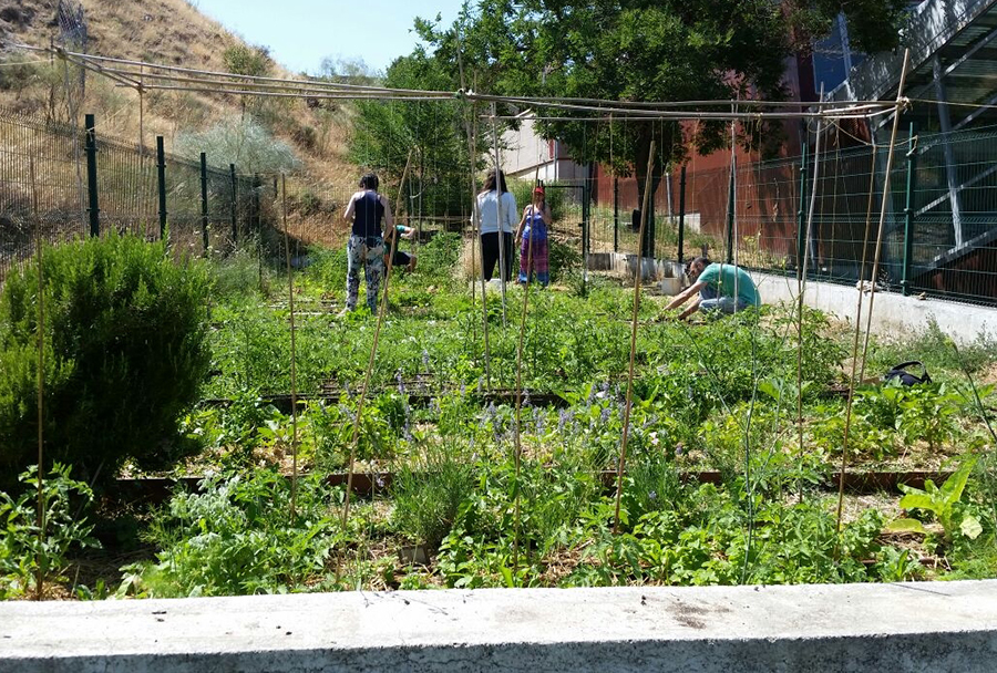 Actividades al aire libre que cuidan la naturaleza ripense