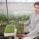 Ingenio al servicio del campo: Vega fértil