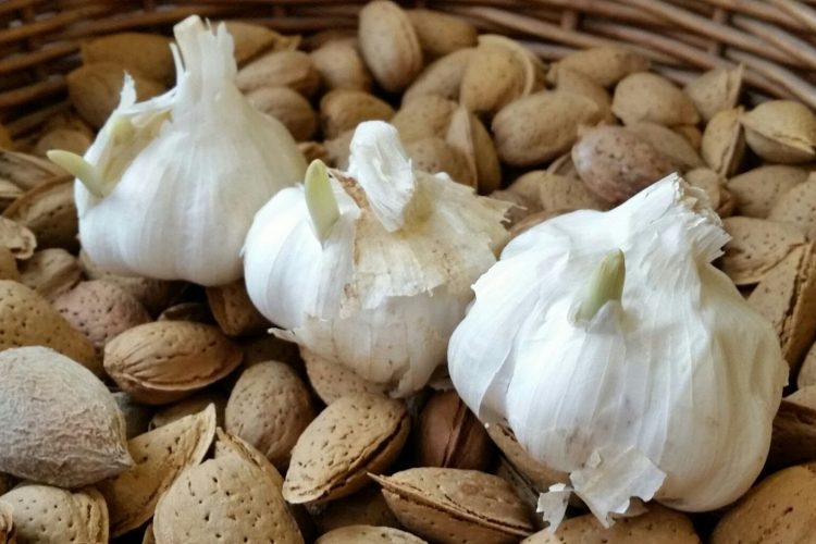 En invierno también se cultiva