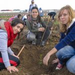 Masivo interés para el Día del Árbol