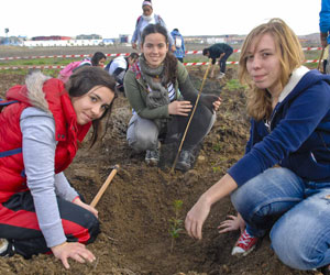 Masivo interés para el Día del Árbol