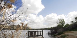 Visita otoñal a la laguna de El Campillo