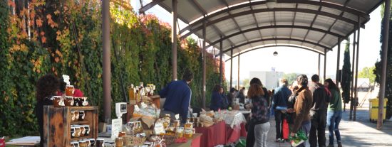 De la huerta a la mesa: mercado agroecológico