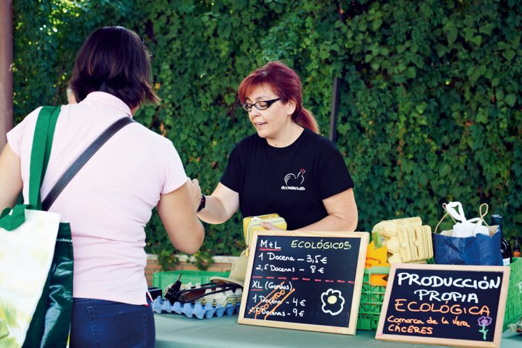 Nuevo mercado dominical: adjudicación de puestos