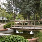 Carreras para conocer los árboles de Rivas
