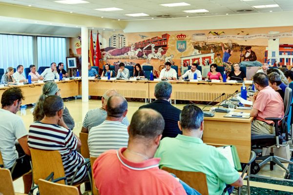 Crónica Pleno municipal de enero de 2018
