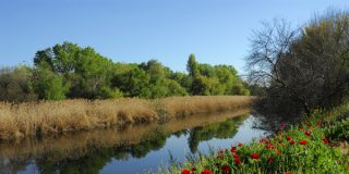 Por el Jarama y Manzanares con agentes forestales