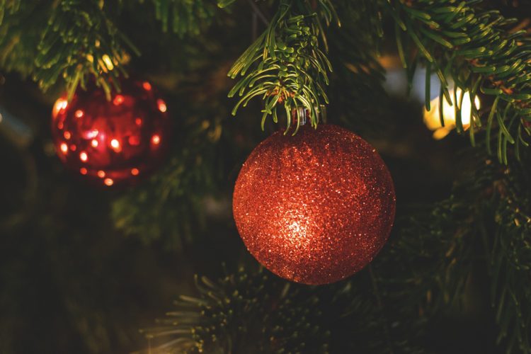 Dale una segunda vida a tu árbol de Navidad