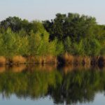 Paseo por los ríos Jarama y Manzanares (agotadas las plazas)