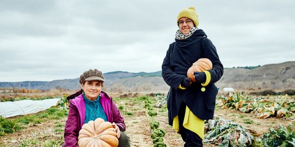 Conoce la despensa de Rivas: huertas abiertas