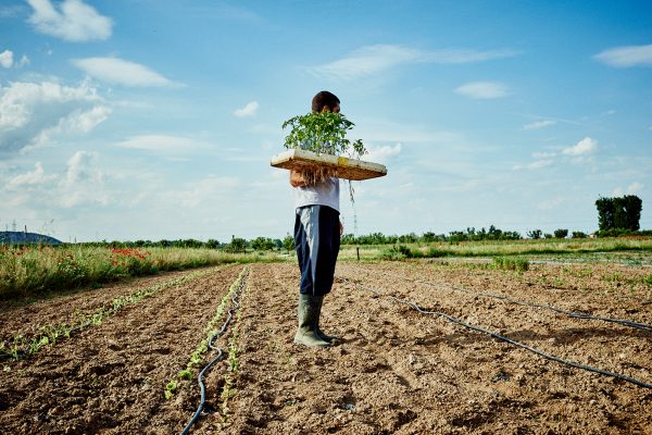 Soto del Grillo: la despensa ecológica de Rivas