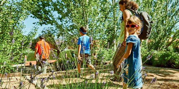 Yincana familiar por el Arborétum de Rivas