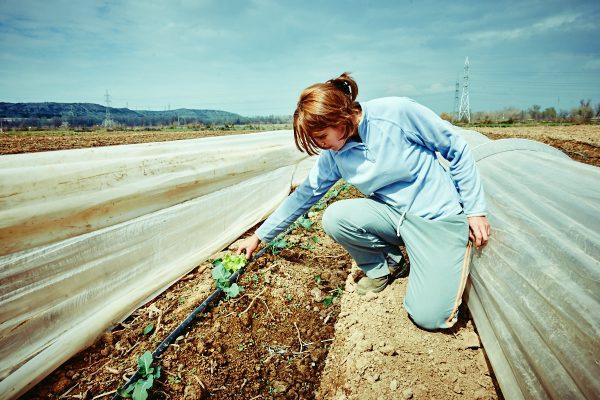 Visita a la huerta ecológica del Soto del Grillo