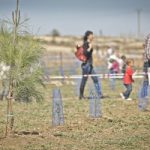 Rivas se acerca al árbol por habitante
