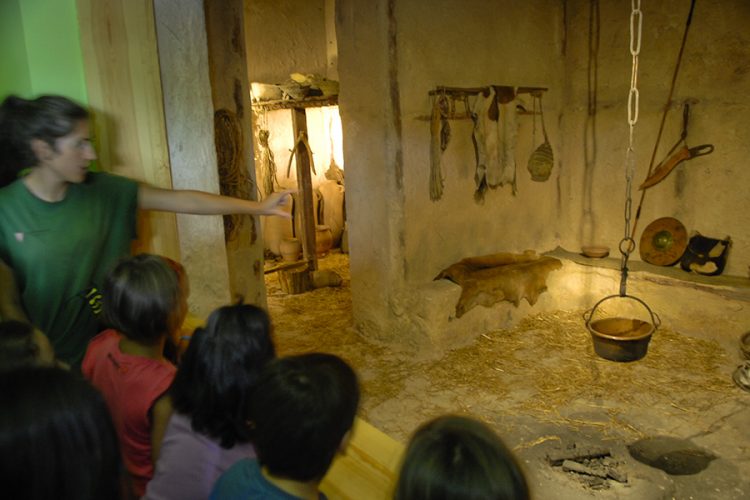 Visita al yacimiento carpetano de 2.400 años