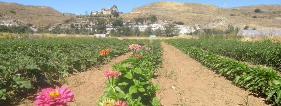 Comienza el servicio de gestión integral del parque agroecológico de Soto del Grillo