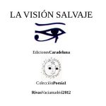 Literatura: 'La visión salvaje', de Pablo Baya