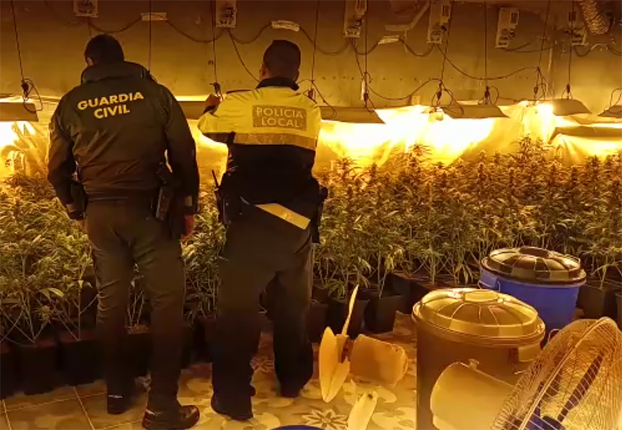 Desmantelados dos locales de cultivo de marihuana