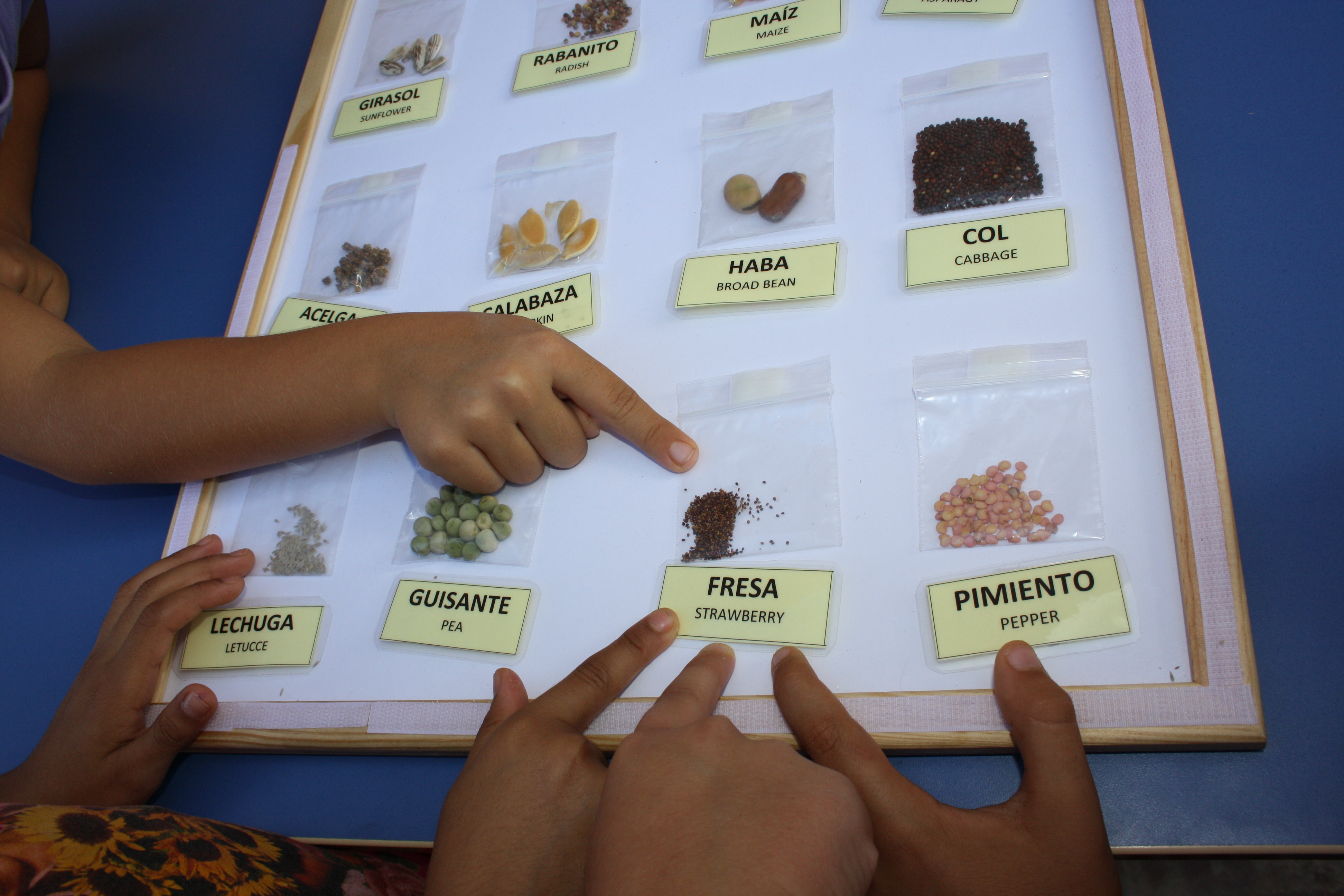 Experiencias educativas sostenibles en aulas de Rivas y del país