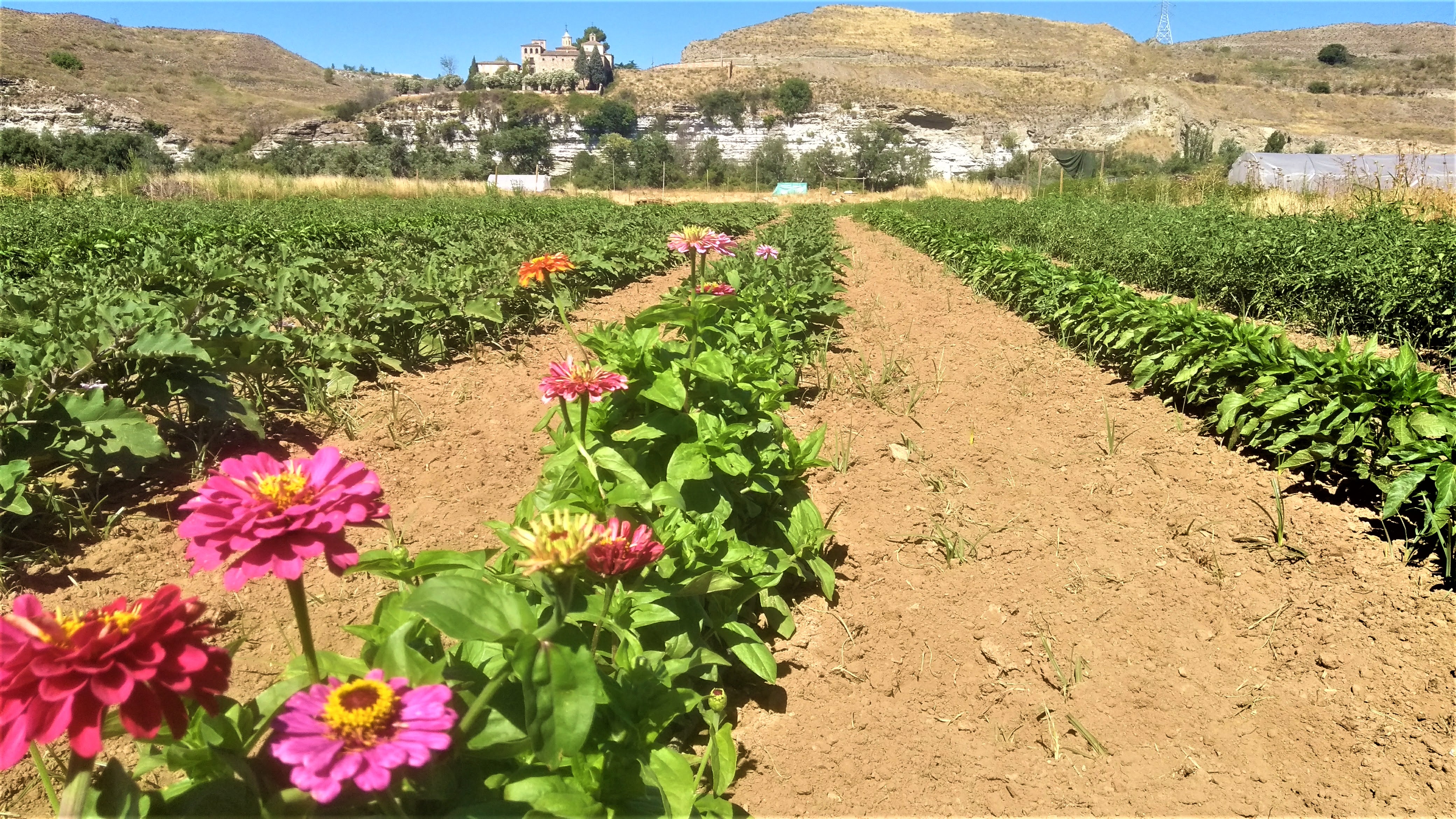 Parque Agroecológico Soto del Grillo