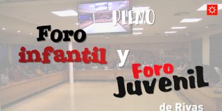 Los foros infantil y juvenil celebran su Pleno