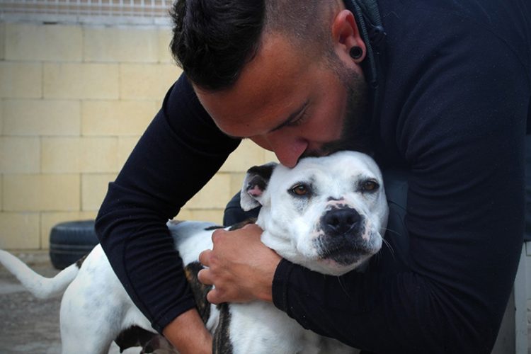 Nueva jornada de adopción canina el domingo 19 de enero