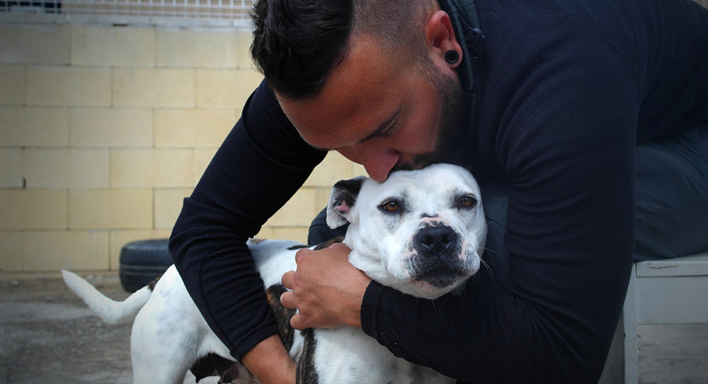 Los Cantiles: 1.394 animales atendidos en 2019