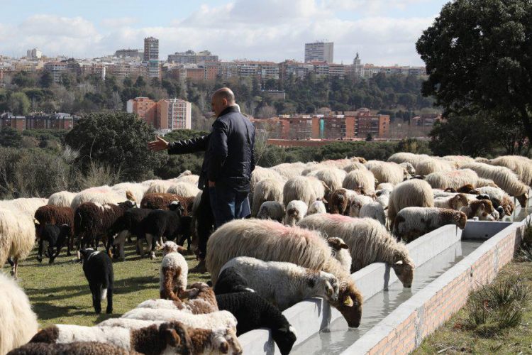 Ruta natural e histórica por la Casa de Campo
