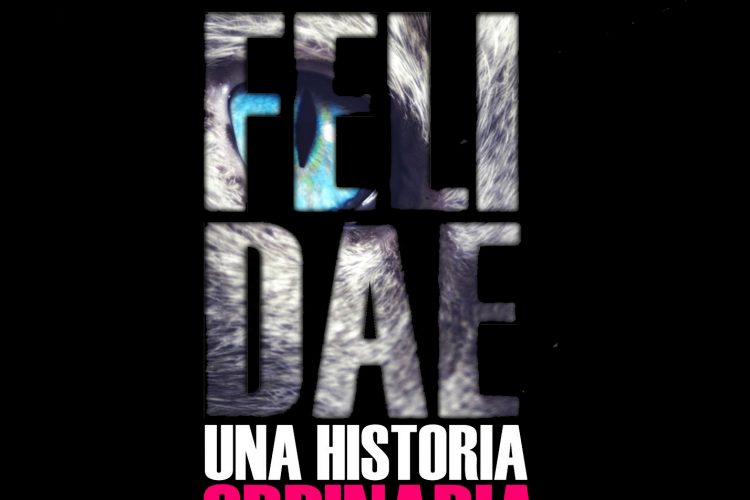 'La catarsis de Felidae', monólogo de Miguel H. Death