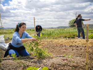 Empleo verde y rural en ciudades: senda de futuro
