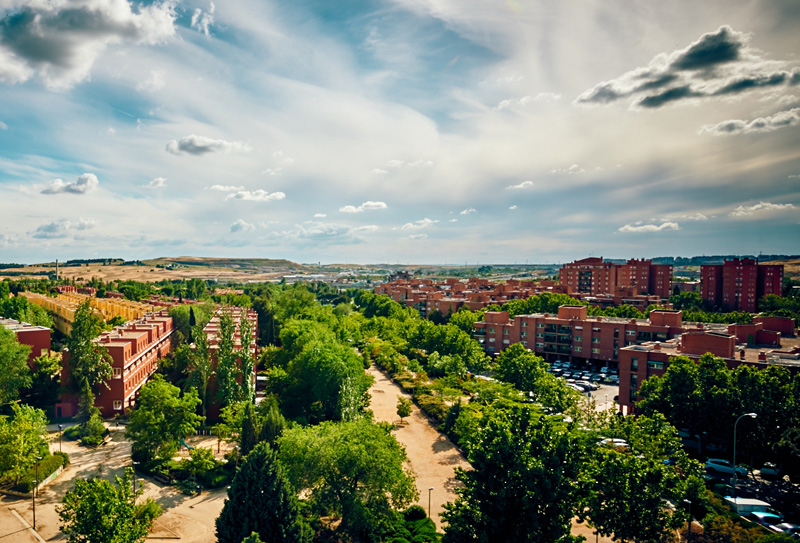 Rivas, entre las ciudades del mundo que mejor cuidan sus árboles