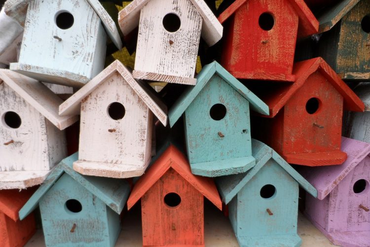 Taller en naturaleza: cajas nido para aves