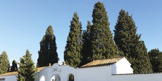 La memoria del cementerio de Rivas