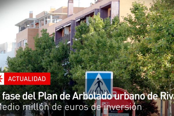 II fase del plan de arbolado urbano en Rivas