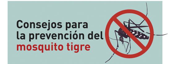 Mosquito tigre: consejos para prevenir su aparición