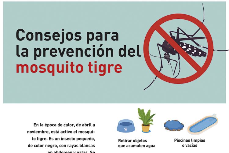Mosquito tigre: consejos para evitar su proliferación en el entorno doméstico