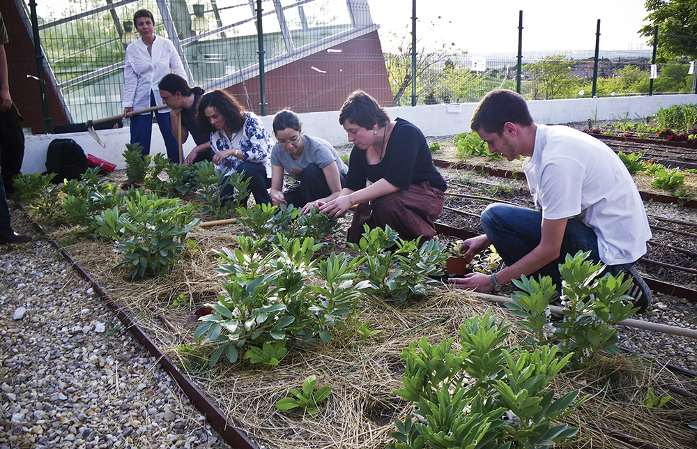 Curso Aproximación a la figura de educador y educadora ambiental