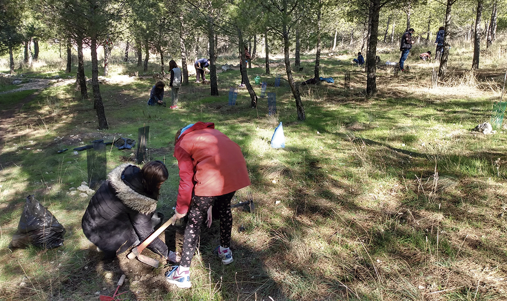 Otra bellotada para sembrar por los bosques de Rivas