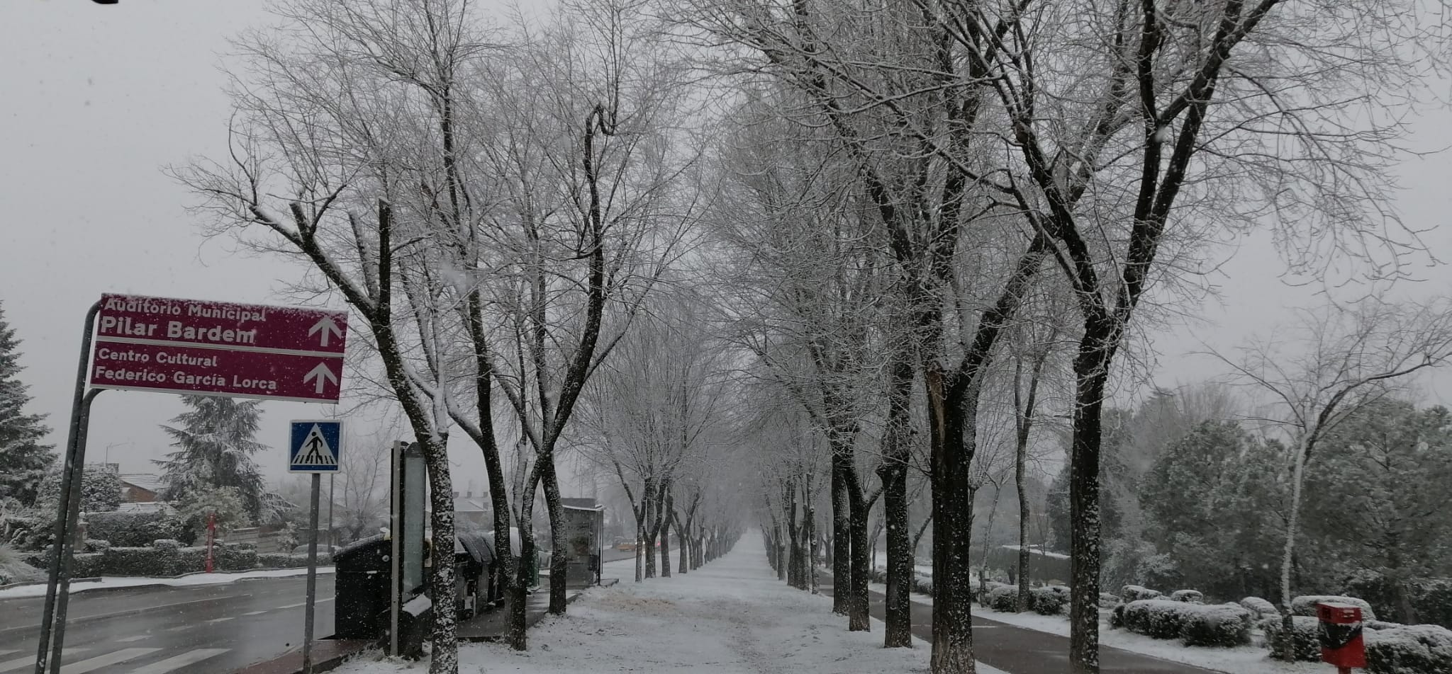 Recomendaciones generales ante las inclemencias invernales