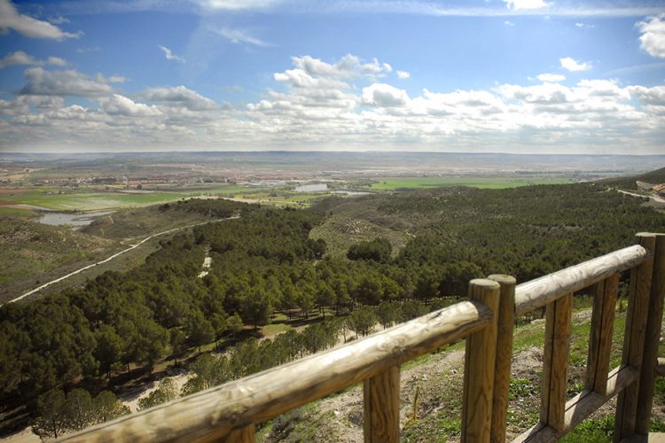 Ruta del esparto y bombas de semillas en arcilla: ocio medioambiental
