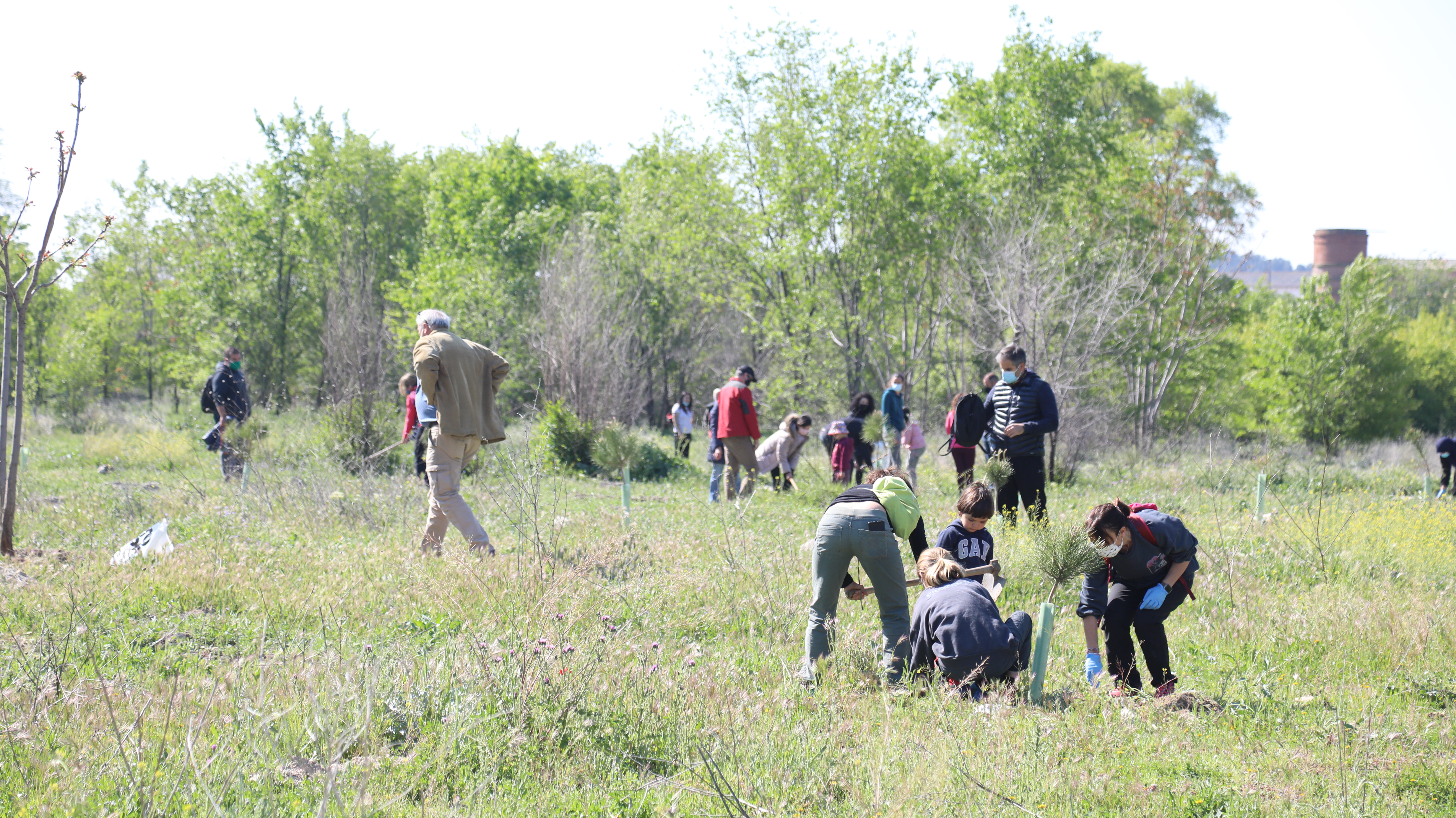 Decenas de ripenses participan en la reforestación de la zona sur de Covibar con 200 nuevos árboles