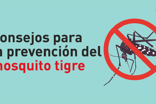Consejos para la prevención del mosquito tigre