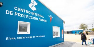Charla sobre tenencia responsable de animales